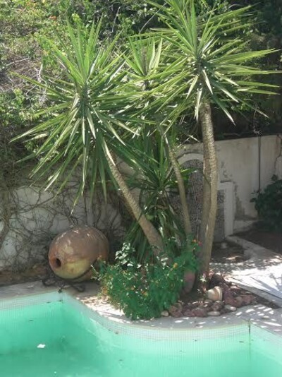 Spacieuse villa Hamamet Sud