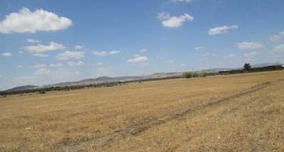 Terrain bouficha sur la route G Tunis sousse