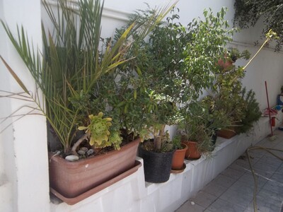 Appart meublé à qlq m de la mer