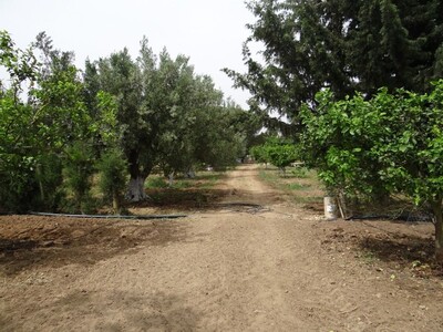 Ferme Ward Hammamet reference
