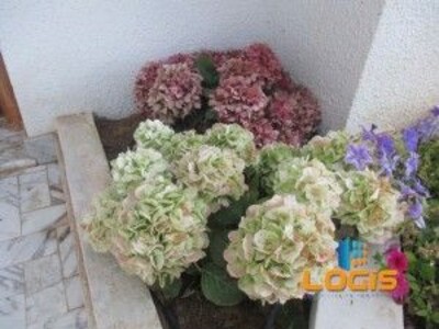 VVilla Steffy Villa Steffy