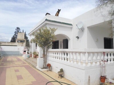 for sale a spacious villa in Hammamet