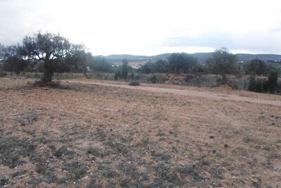 terrain de 1 hectare à Hammamet