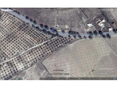 Plot 3200 route Zaghouan Fahs