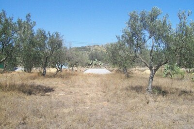 Terrain Craxi