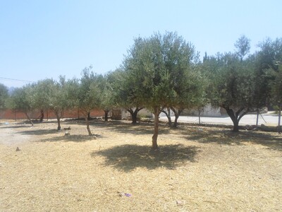 Joli terrain à el Alelgua mornag