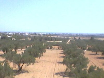 terrain avec belle vue