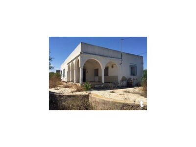 Terrain avec maison a kerkouane