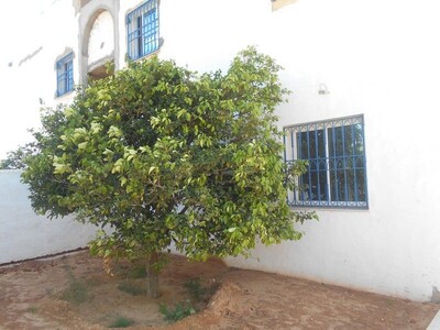 al une belle maison a hammamet so