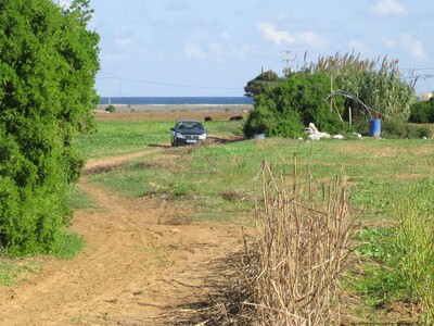 Ground was Dar Allouch near sea T