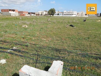 A vendre un lot de terrain à côté du terrain de foot de Kélibia
