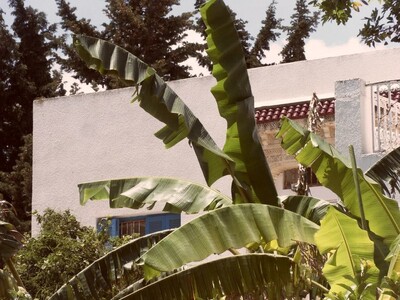 Carthage Hannibal villa C