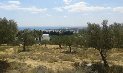 Terrain Hammamet souk el Khamis Ce