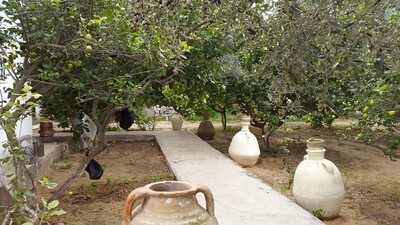 House for sale in Hammamet kkktttt