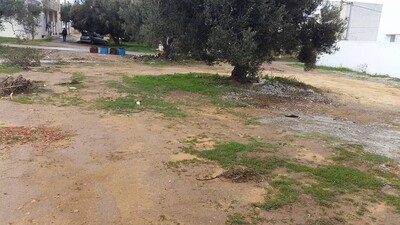 A vendre terrain à mrezga hammamet