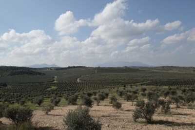 Ferme Bouficha B Bouficha Nabeul