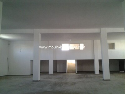 Local Guess Hammamet