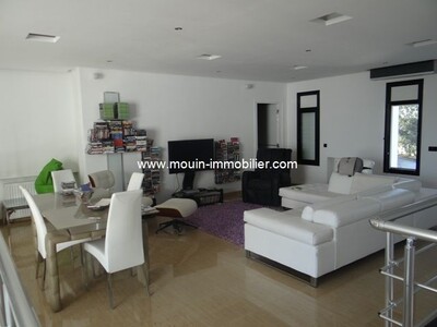 A Villa of dolphins in Jinan Hammamet