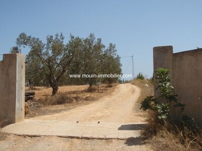 Ferme L'oliveraie à Hammamet Sud