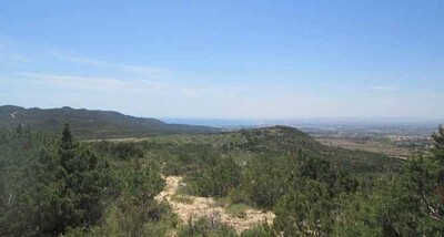 Terrain agricole A Hammamet