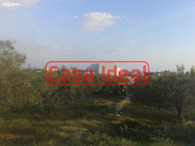 900 in Hammamet Mrezgua field