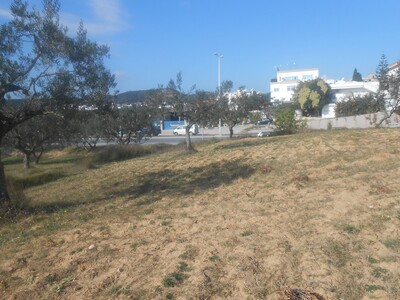 AV un terrain commerciale a hammamet sor