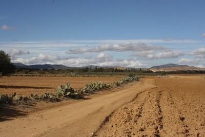 AV un terrain agricole a yassmin hammamet sor