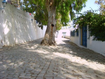Do not miss a sidi bou Saïd