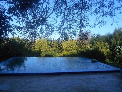 maison avec jardin planté k