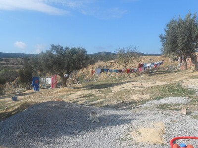 AV terrain commercial a hammamet s