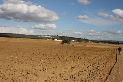 AV terrain pas loin de yasmine hammamet s