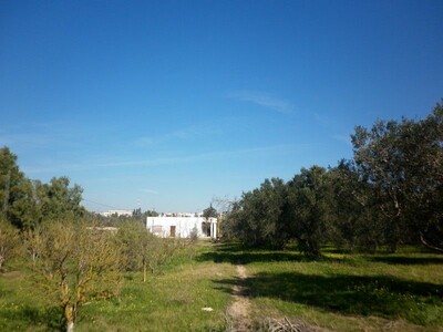 Senya 1hectare avec villa à 10min Hammamet
