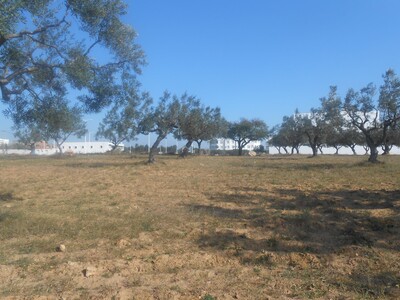Av terrain commercial ss