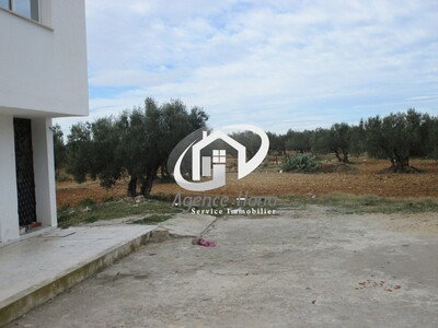 2 lots des terrains à frina