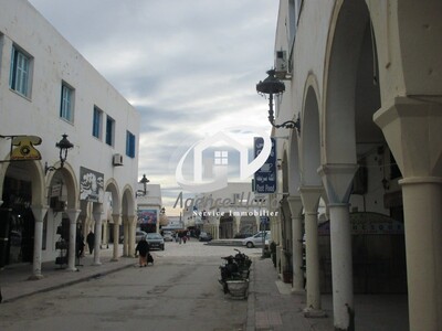 Arab House with 2 commercial premises