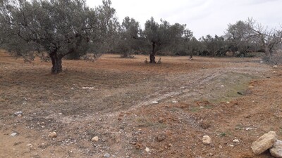 Terrain Magnifique à Hammamet