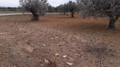 Terrain route hammamet sud