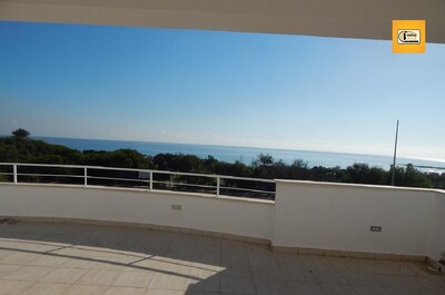 Adorable appartementement in Kelibia the White