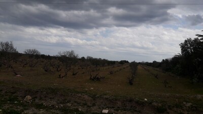 Land at very attractive price