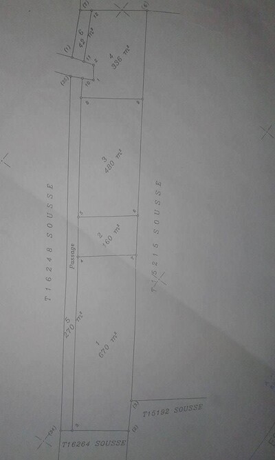 terrain 336 à soviva chatt maryem