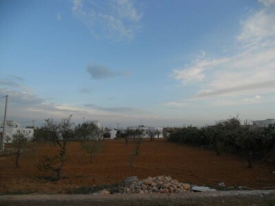 terrain à vendre route laafrane km 65 sfax