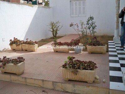 Maison Marcus a Hammamet centre