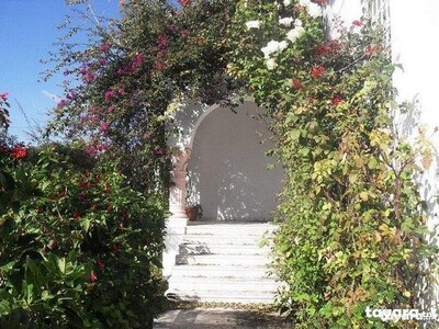 superb villa with large garden campaign