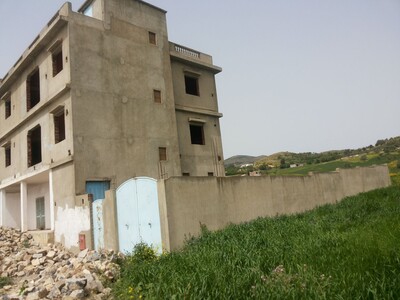 maison en espace vert