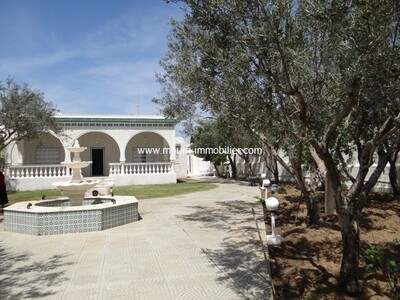 Villa L Opera Hammamet North Sidi Marianna