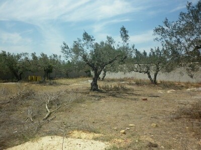 Land close to hammamet area for the future