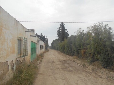 petite ferme à Menzel bouzelfa