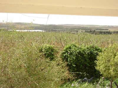 av a mornag senia avec une belle villa