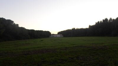 ferme 6 hectares à kelibia avec villa réf T