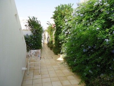 APPART EL ALMAZ Réf